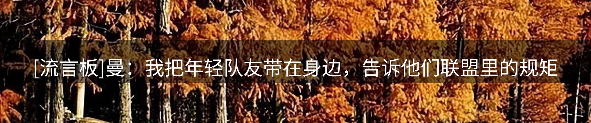 内页banner